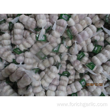 Hot Sale Normal Garlic 2019